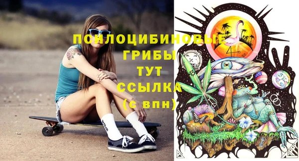 ПСИЛОЦИБИНОВЫЕ ГРИБЫ Зерноград